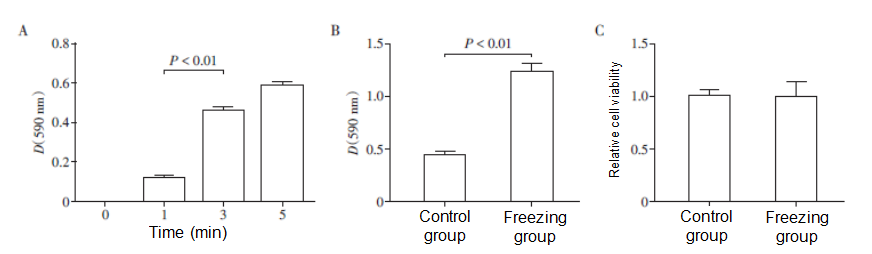 The ultralow temperature improves the permeability of pancreatic cancer cells