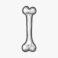 Bone Cancer