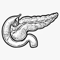 Pancreas Cancer