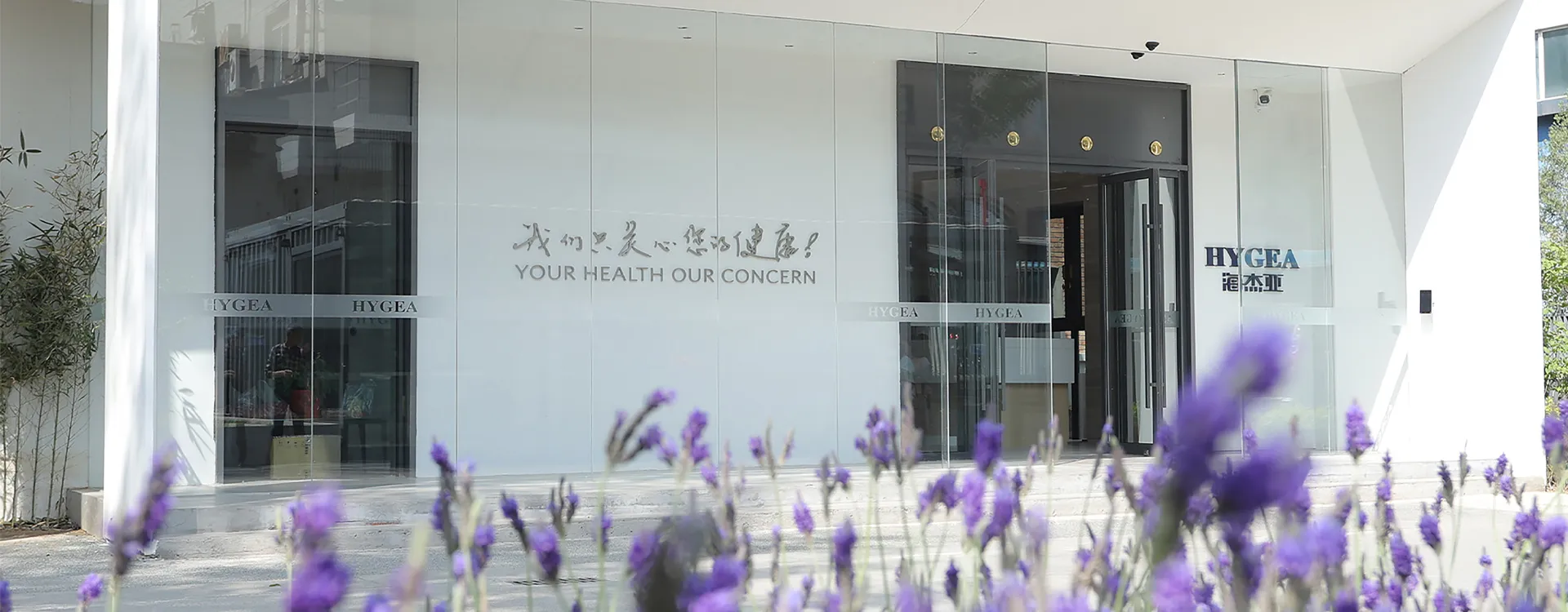 HYGEA MEDICAL